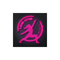 LION GYM  logo