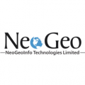 Neogeoinfo Technologies  logo