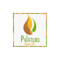 Palaturu  logo