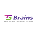 TS BRAINS PVT. LTD  logo