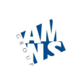 AMNSGROUP  logo