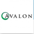 Avalon Enterprise Limited  logo