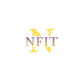 N. F. Info. Tech  logo