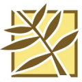 Spur Tree Technologies  logo