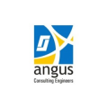 Angus Consulting Engineers  logo