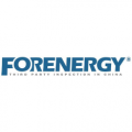 Forenergy Inspection & Consultation  logo