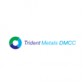 Trident Metals DMCC  logo