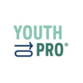 Youth To Professionals   logo