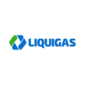 LiquiGroup S.A.L. (holding)  logo