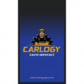 Carlogy Auto Services   logo