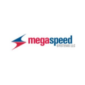 Mega Speed Systems LLC  logo