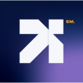 SVN ONE - L.L.C  logo