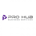 PRO Hub Business Services  logo
