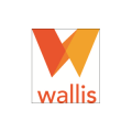 Wallis Marketing Consultants  logo