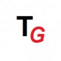 Top Group  logo