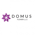 Domus Flower LLC  logo