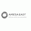 AMESA EAST Co,  logo