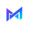 MAIDEL LIMITED  logo
