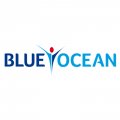 Blue Ocean Academy  logo