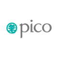 Pico Global Services Limited  logo