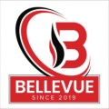 BELLEVUE TELECOM  logo