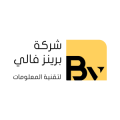 Brains Valley Co.  logo