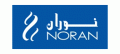 NORAN HOLDING  logo