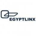 EgyptLinx  logo