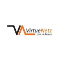 virtuenetz  logo