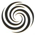 THE AMMARA  logo