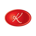 Salah El Kashef (Founder; Kashef Bridge® - Kashef Bridge® مكتشف ومطور )  logo