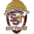 SAFE STREAM Occupational Trainings LLC  logo