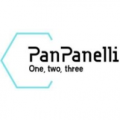 PANPANELLI TECHNICAL SERVICES LLC  logo