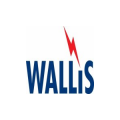 A.N.Wallis & Co Ltd  logo