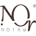 NorNoyau  logo