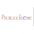 PROTOCOLSONE  logo