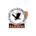hawk international  logo