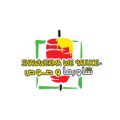 shawarmaandsauce  logo