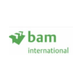 BAM International  logo