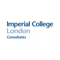 Imperial Consultants   logo