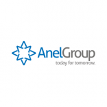 Anel Group   logo