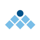 Management Solutions International  logo