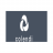 Colendi Holding Company logo