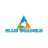 BLUE TRIANGLE TRADING LLC logo