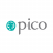 Pico Global Services Limited logo