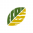 ECO NEST PLANT PAPERBOARD MANUFACTURING LLC logo
