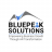 BluePeak Solutions logo