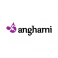 Anghami logo