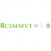 CIMMYT logo