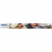 International Water Management Institute